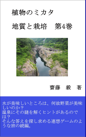 サイトウの電子本屋 Saitodev Co 商品詳細