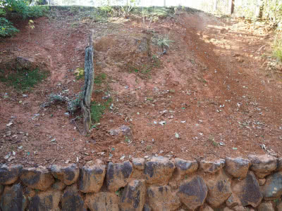 若草山山頂の赤い土 Saitodev Co