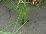 P9159008