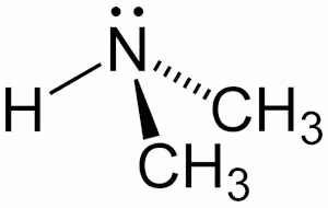 Dimethylamine-2D