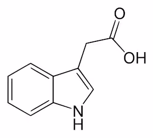 Indol-3-ylacetic_acid