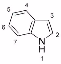 Indole_chemical_structure1