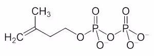 Isopentenyl_pyrophosphate