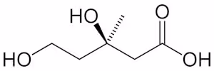 Mevalonic-acid-2D-skeletal