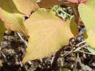 P5050168