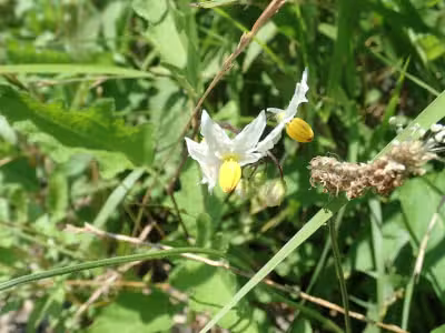 P6290265