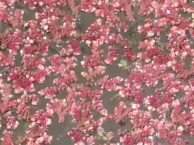 P7030283