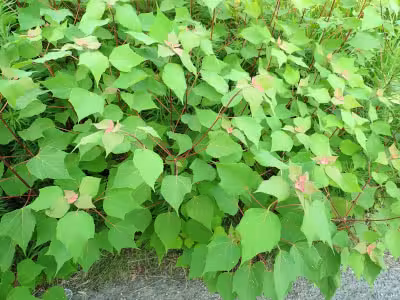 P7230163