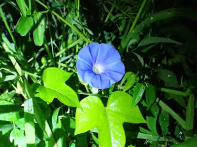 P8290314