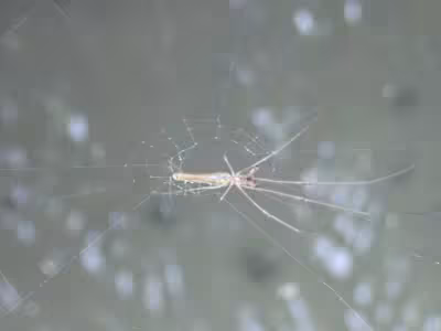 P8310321