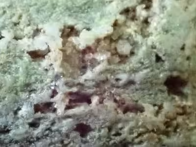 P9210353
