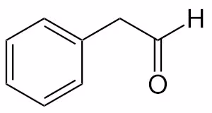Phenyl_ethanal_Structure_V1