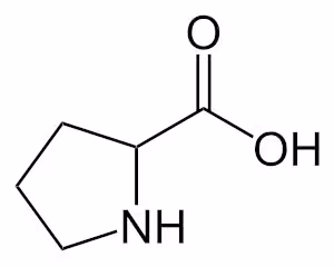 Prolin_-_Proline