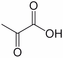 Pyruvic-acid-2D-skeletal