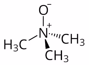 Trimethylaminoxid