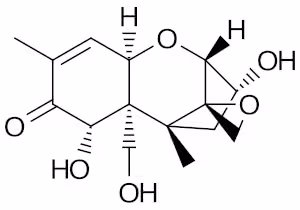 Vomitoxin2DCSD