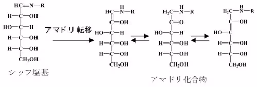 amadori_transition