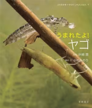 newborn_nymph_cover