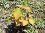 P5050167