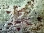 P9210353
