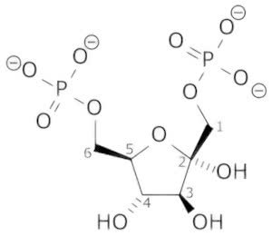 Beta-D-fructose-1%2C6-bisphosphate_wpmp