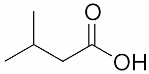 Isovaleric_acid_structure