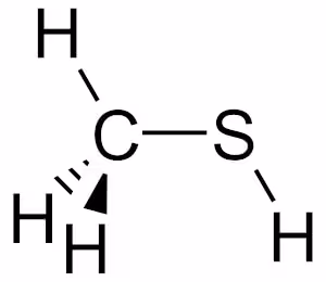 Methanethiol