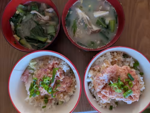 PXL_20251117_035007075~2