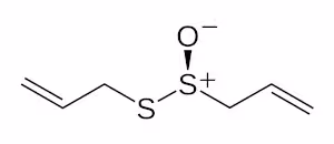 R-allicin-2D-skeletal