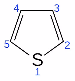 Thiophene-2D-numbered