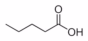 Valeric_acid_acsv