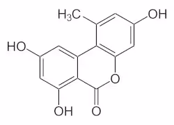 Alternariol