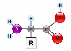 AminoAcidball