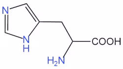 Amino_Acid_Histidine