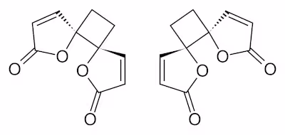 Anemonin_Structural_Formulae