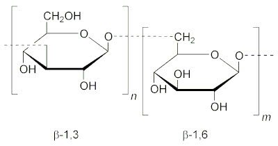 Beta-1%2C3-1%2C6-glucan