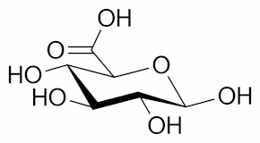 Beta_D-Glucuronic_acid
