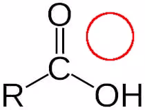 Carboxylic-acid_not_chelate