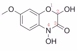 DIMBOA_numbering_0