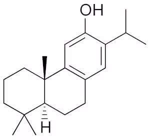Ferruginol