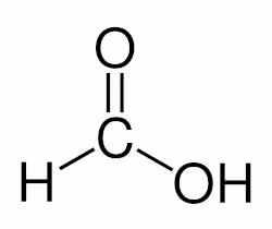 Formic_acid