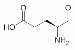 Glutamate-1-semialdehyde