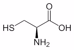 L-Cystein_-_L-Cysteine0
