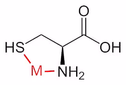 L-Cystein_-_L-Cysteine_chelate
