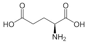L-Glutamins%C3%A4ure_-_L-Glutamic_acid