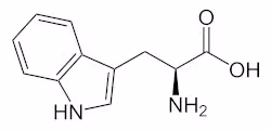 L-Tryptophan_-_L-Tryptophan