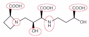 Mugineic_acid_chelate