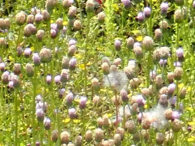 P5070496