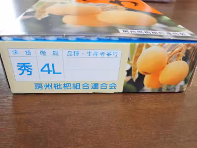 P6030560