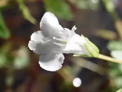 P8310065